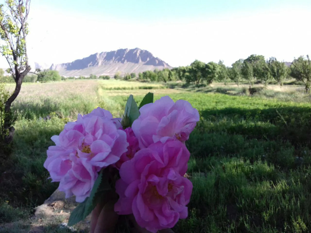 منظره کوه بن از دور